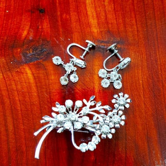 Jewelry - Brooch Coat Pin and Earrings